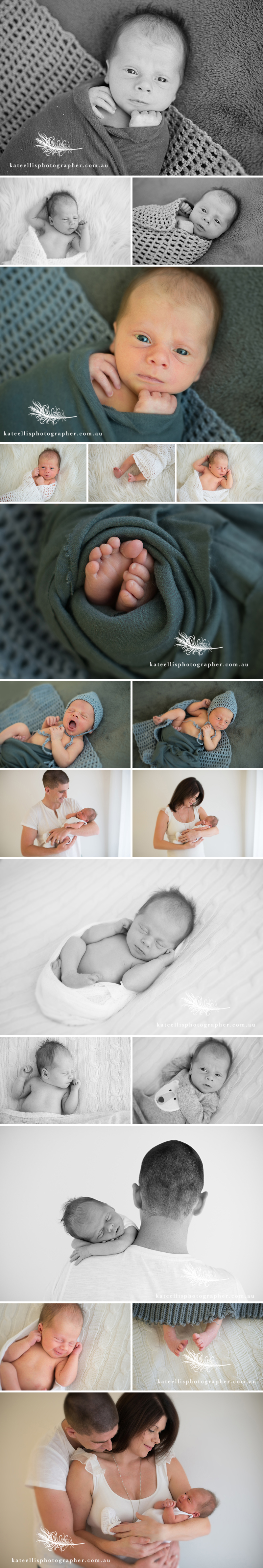Adelaide Newborn photographer