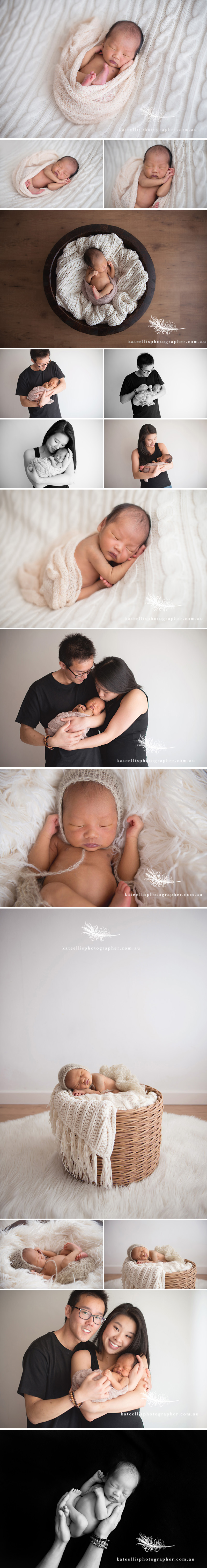 Adelaide newborn Photographer