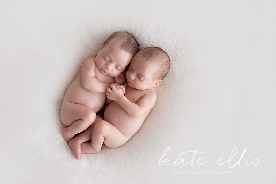 Adelaide Twin Newborn Photographer
