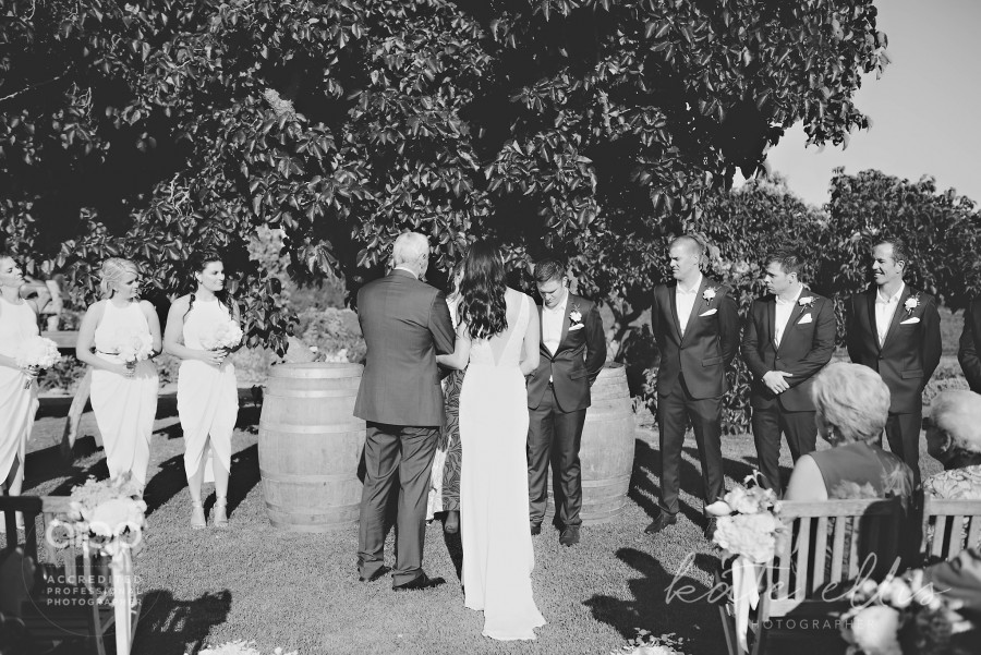 ZZD Adelaide Wedding Photographer Coriole