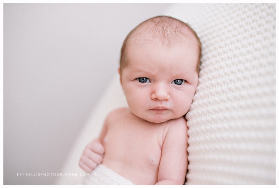 A Adelaide Newborn Photographer